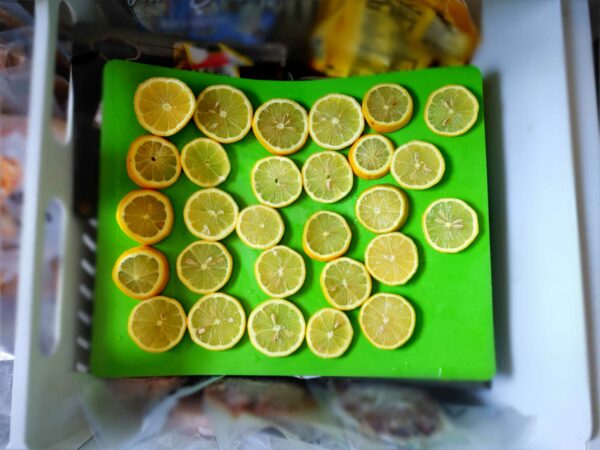 Frozen lemons